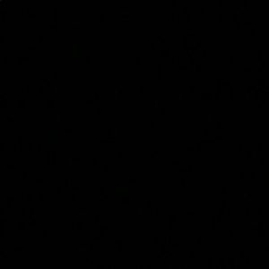 Meet your Posher, Lucas